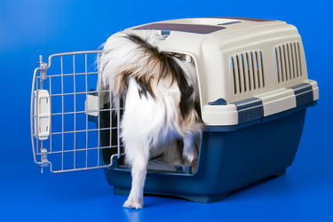 Similar image 149096