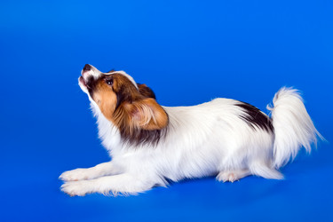 Similar image 149097