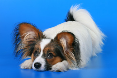 Similar image 149099