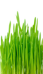 Similar image 149142