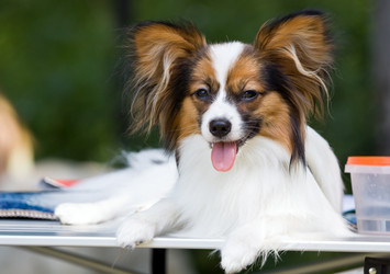 Similar image 149163