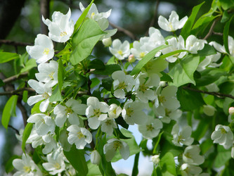 Similar image 149262