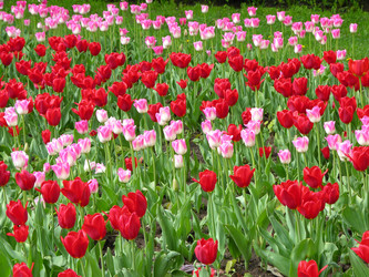 Similar image 149269