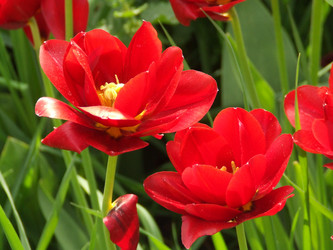 Similar image 149322