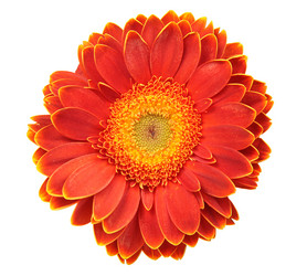 Similar image 149363