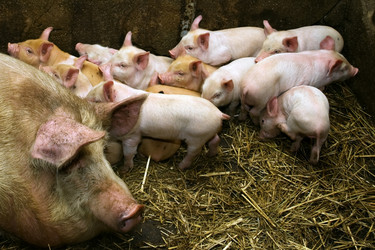 Similar image 149374