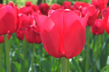 Similar image 149381