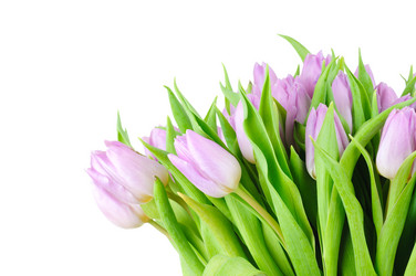 Similar image 149393