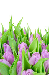 Similar image 149395