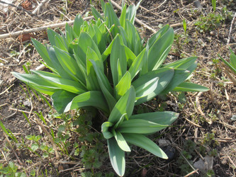 Similar image 149401