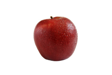 Similar image 149420