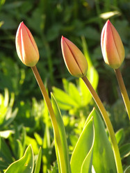 Similar image 149445