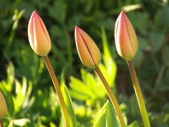 Similar image 149446