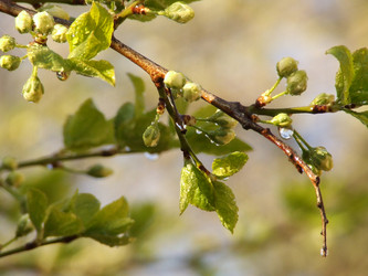 Similar image 149449