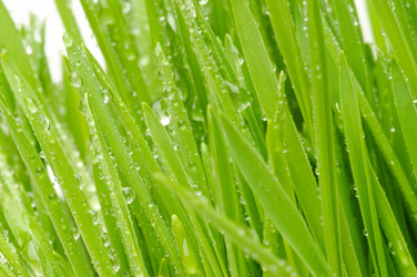 Similar image 149487