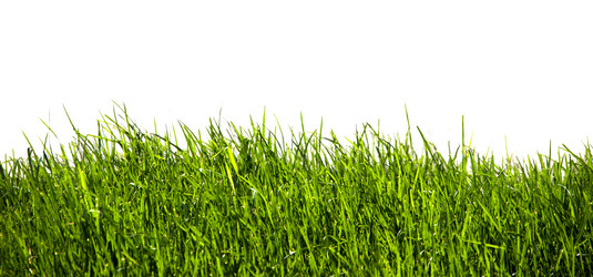 Similar image 149488