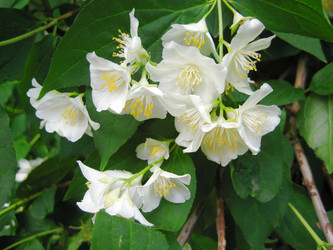 Similar image 149489