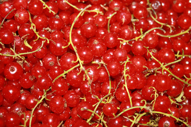 Similar image 149501