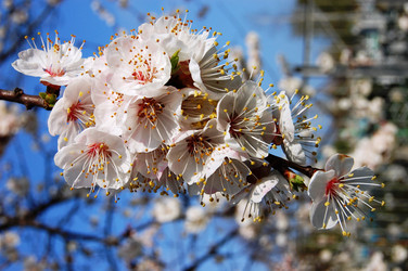 Similar image 149505