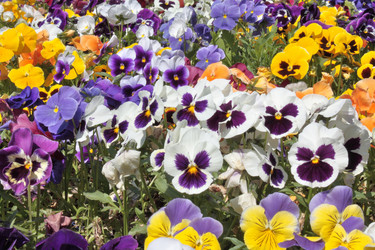 Similar image 149538