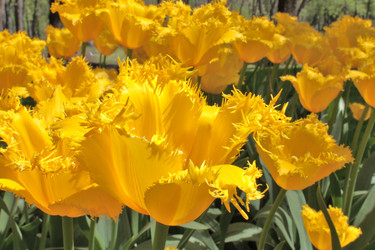 Similar image 149542