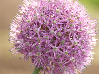 Similar image 149545