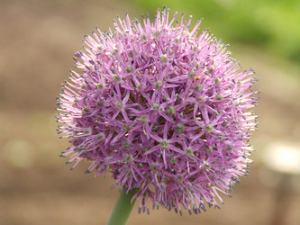 Similar image 149546