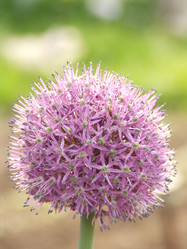 Similar image 149548