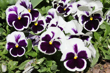 Similar image 149579