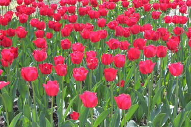 Similar image 149583