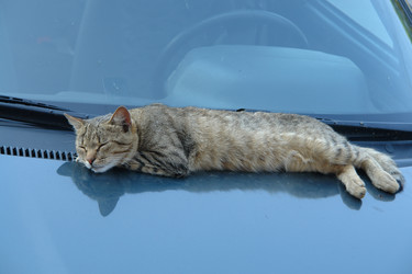 Similar image 149612