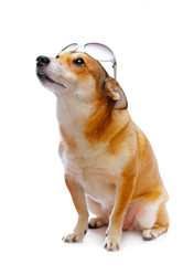 Similar image 149647