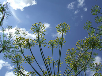 Similar image 149674