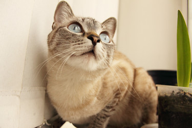 Similar image 149717