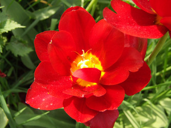 Similar image 149731