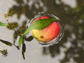 Similar image 149733