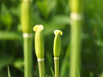 Similar image 149735