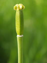 Similar image 149736