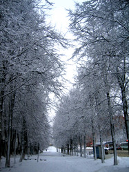 Similar image 149737