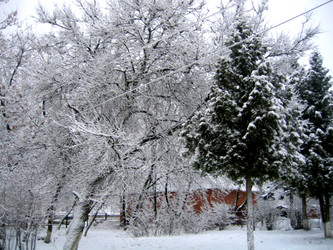 Similar image 149742