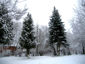 Similar image 149744