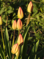 Similar image 149750