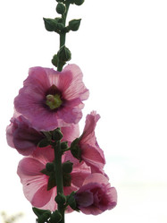 Similar image 149774