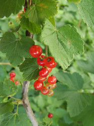 Similar image 149782