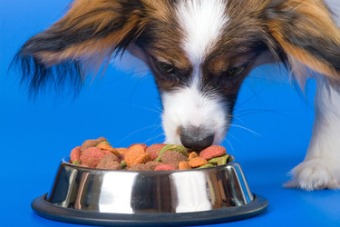 Similar image 149799