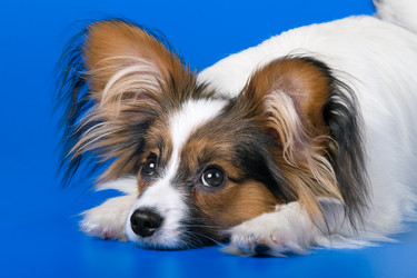 Similar image 149803