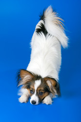 Similar image 149804