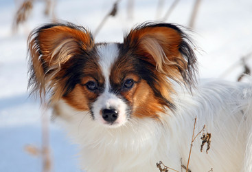 Similar image 149809