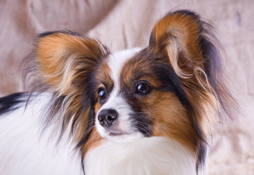 Similar image 149813