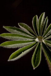 Similar image 149815